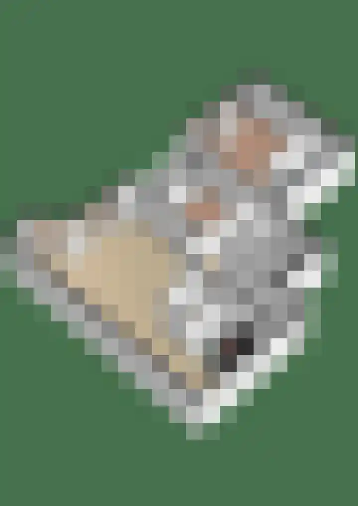 Herculeslaan 74 Utrecht thumbnail 34