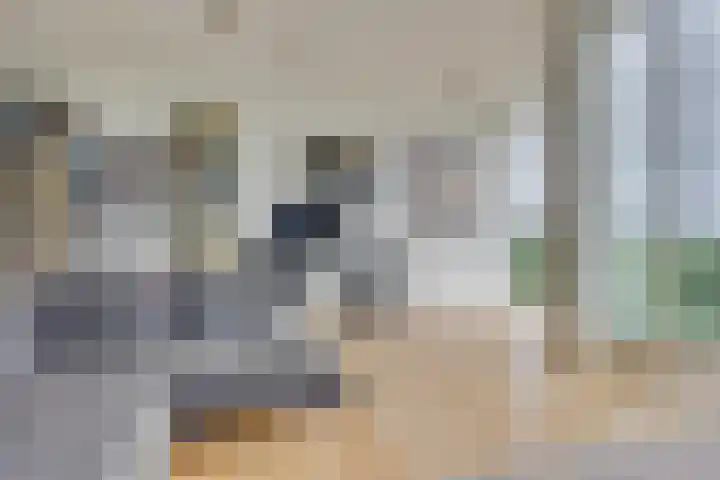 Herculeslaan 74 Utrecht thumbnail 7