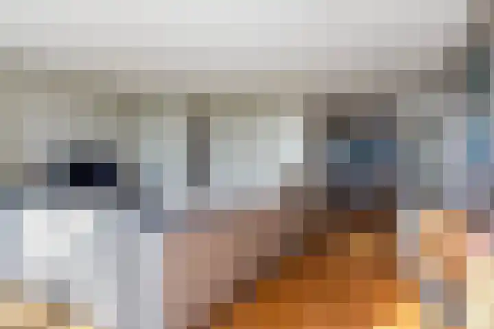 Herculeslaan 84 Utrecht thumbnail 18