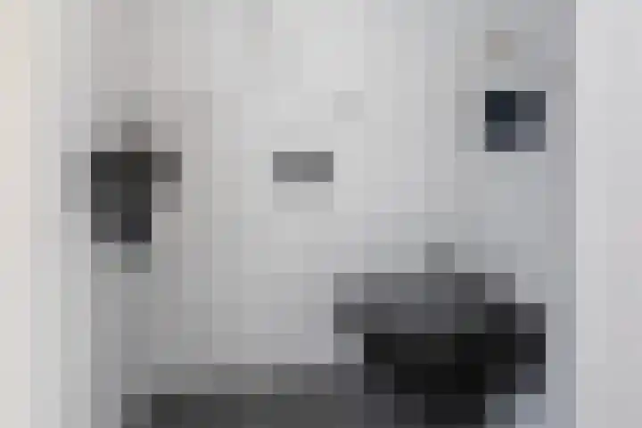 Herculeslaan 84 Utrecht thumbnail 33