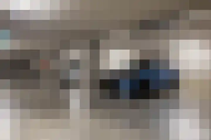 Herculeslaan 84 Utrecht thumbnail 40