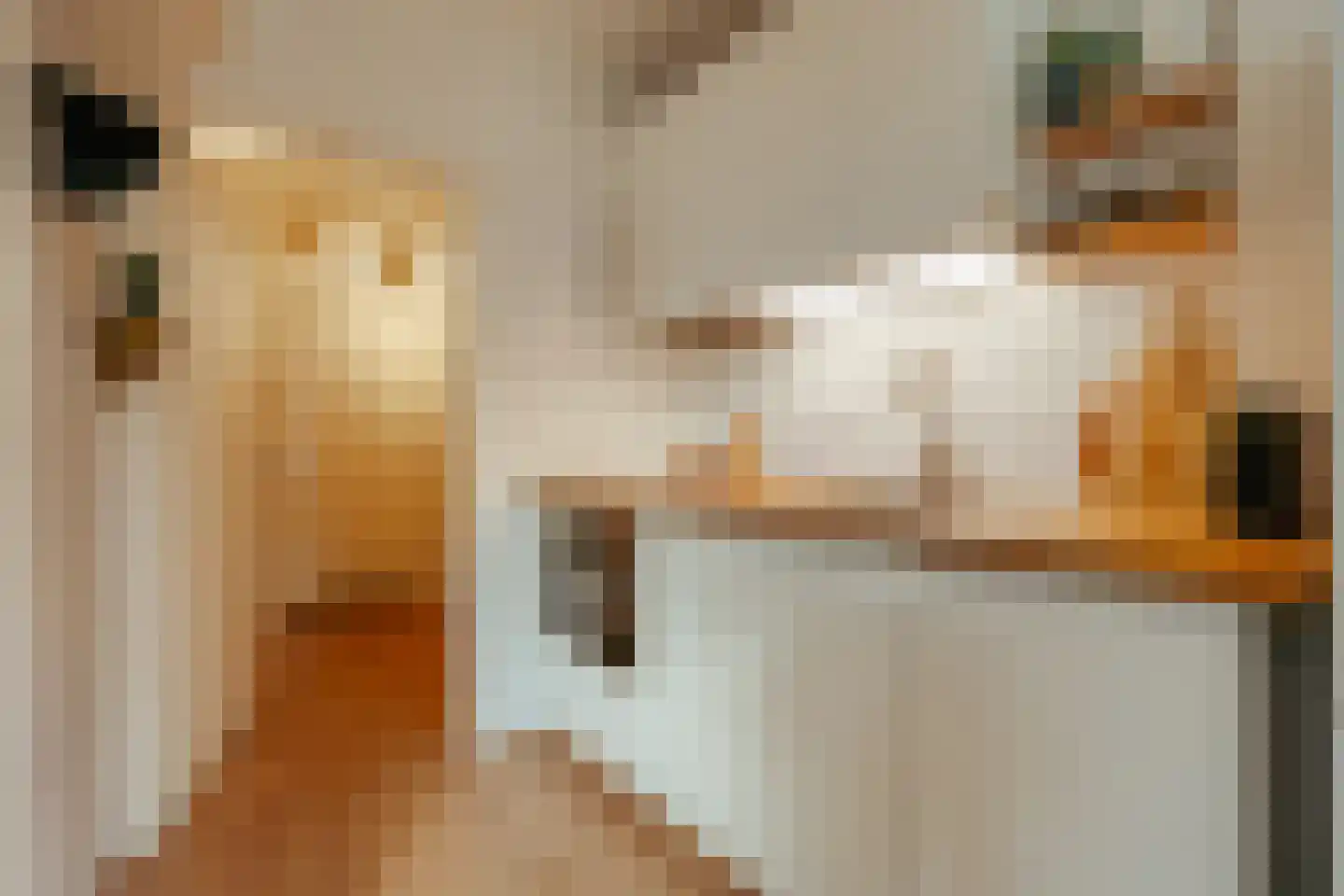 Herculesstraat 124 2 Amsterdam thumbnail 9