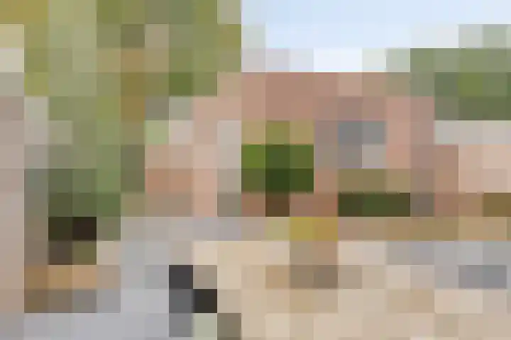 Herculesstraat 39 Rosmalen thumbnail 30