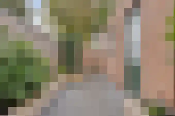 Herculesstraat 39 Rosmalen thumbnail 31