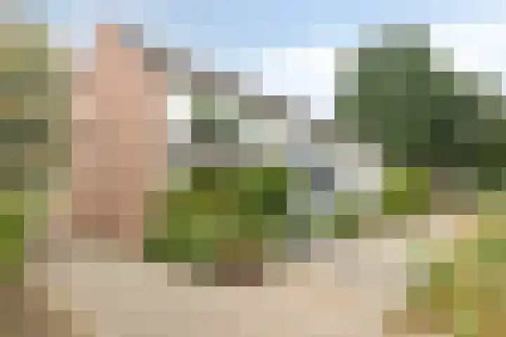Herculesstraat 39 Rosmalen thumbnail 39