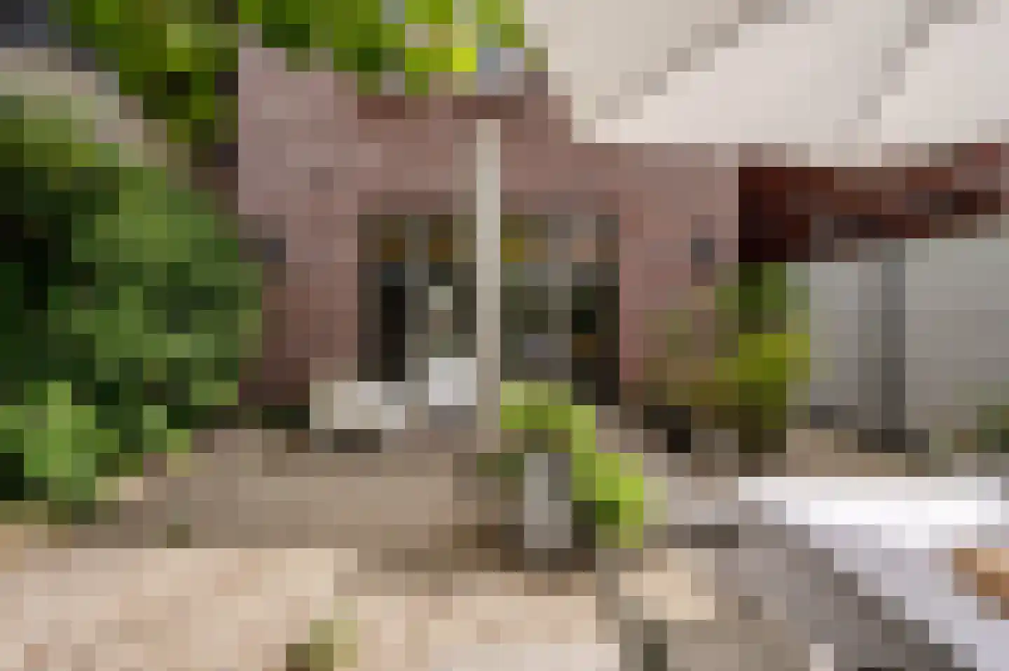 Herculesstraat 40 Almere thumbnail 44