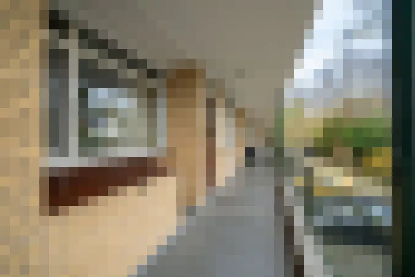 Herculesstraat 74 Enschede thumbnail 5