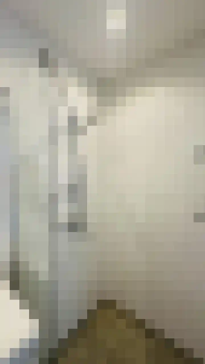 Herculesweg 149 Delft thumbnail 8