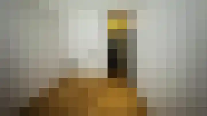 Herculesweg 22 Delft thumbnail 16