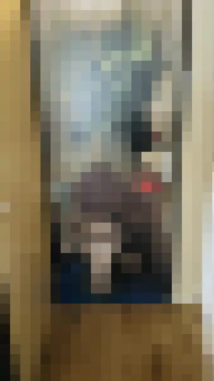 Herculesweg 22 Delft thumbnail 9