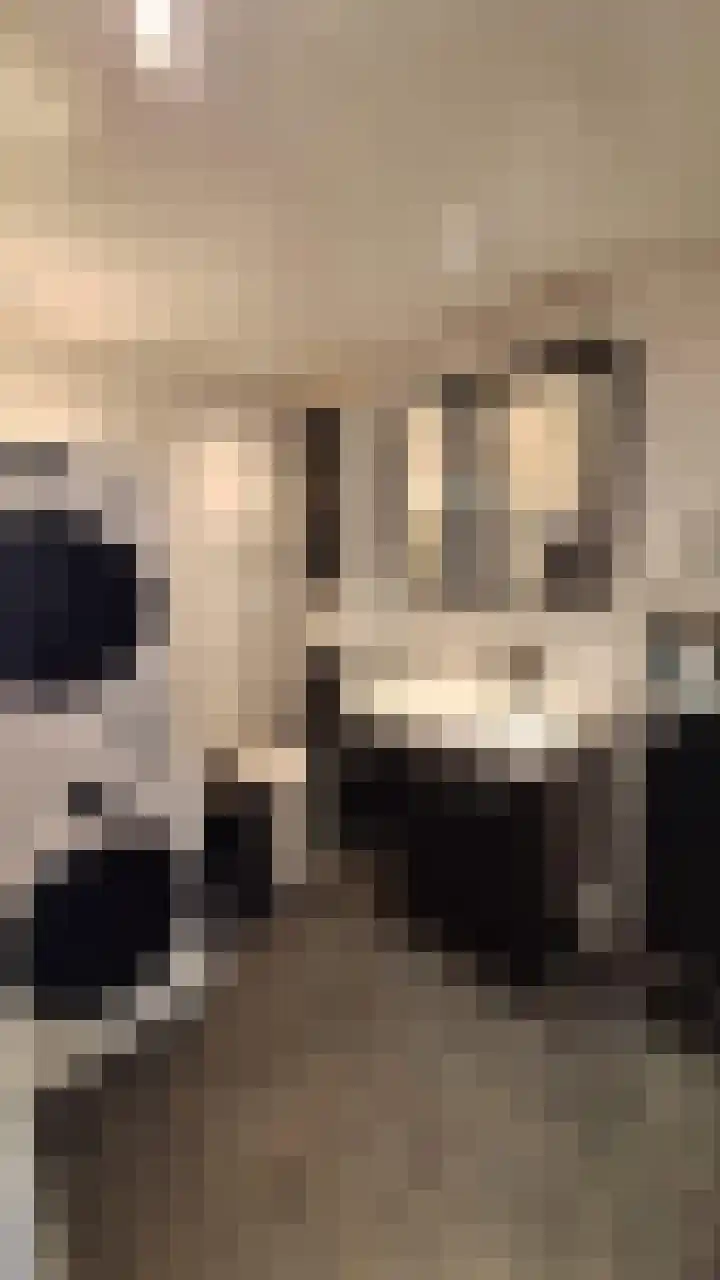 Herculesweg 67 Delft thumbnail 11