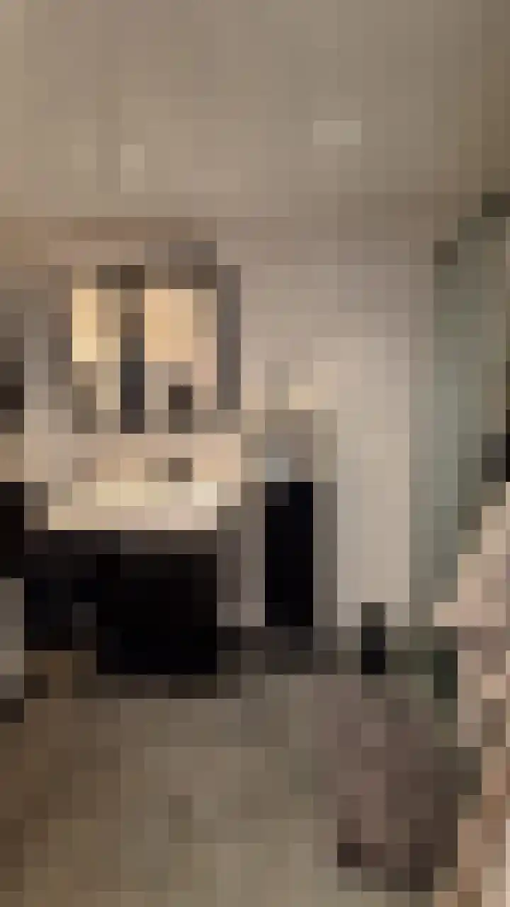 Herculesweg 67 Delft thumbnail 12