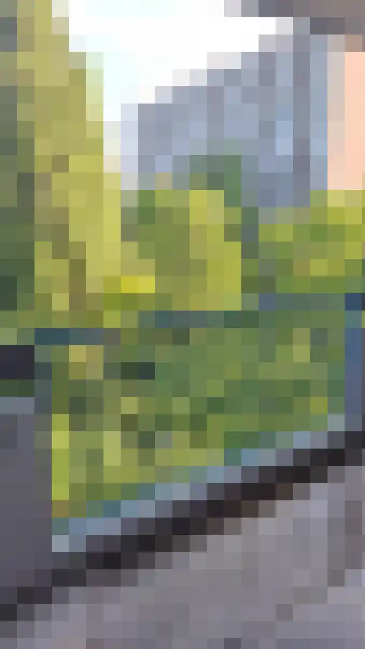 Herculesweg 67 Delft thumbnail 18