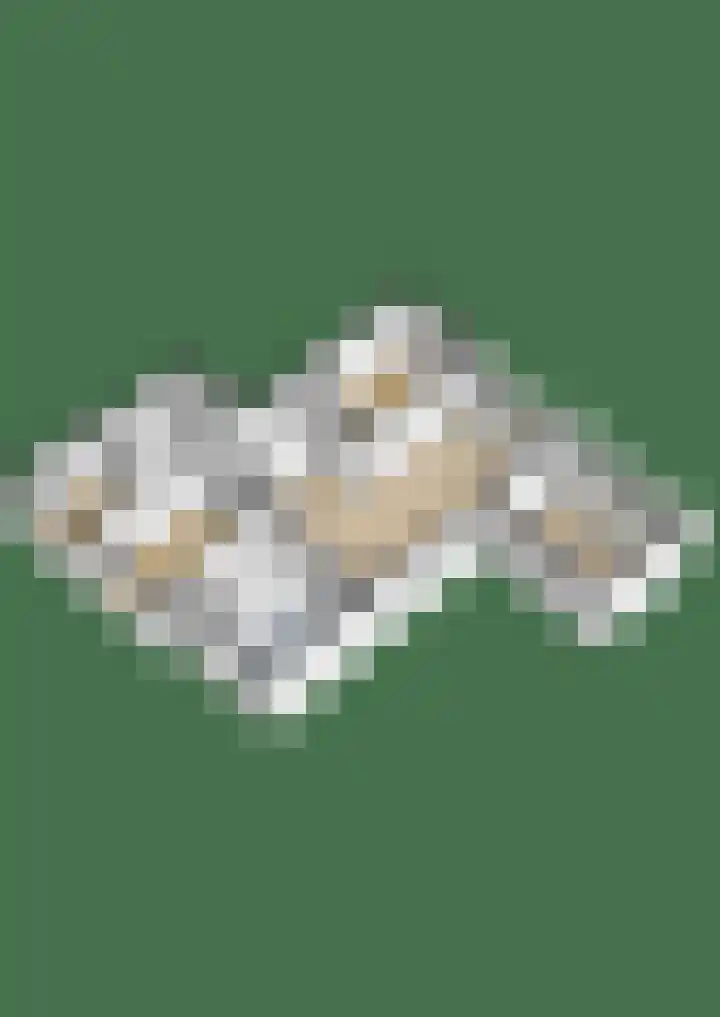 Herculesweg 67 Delft thumbnail 22