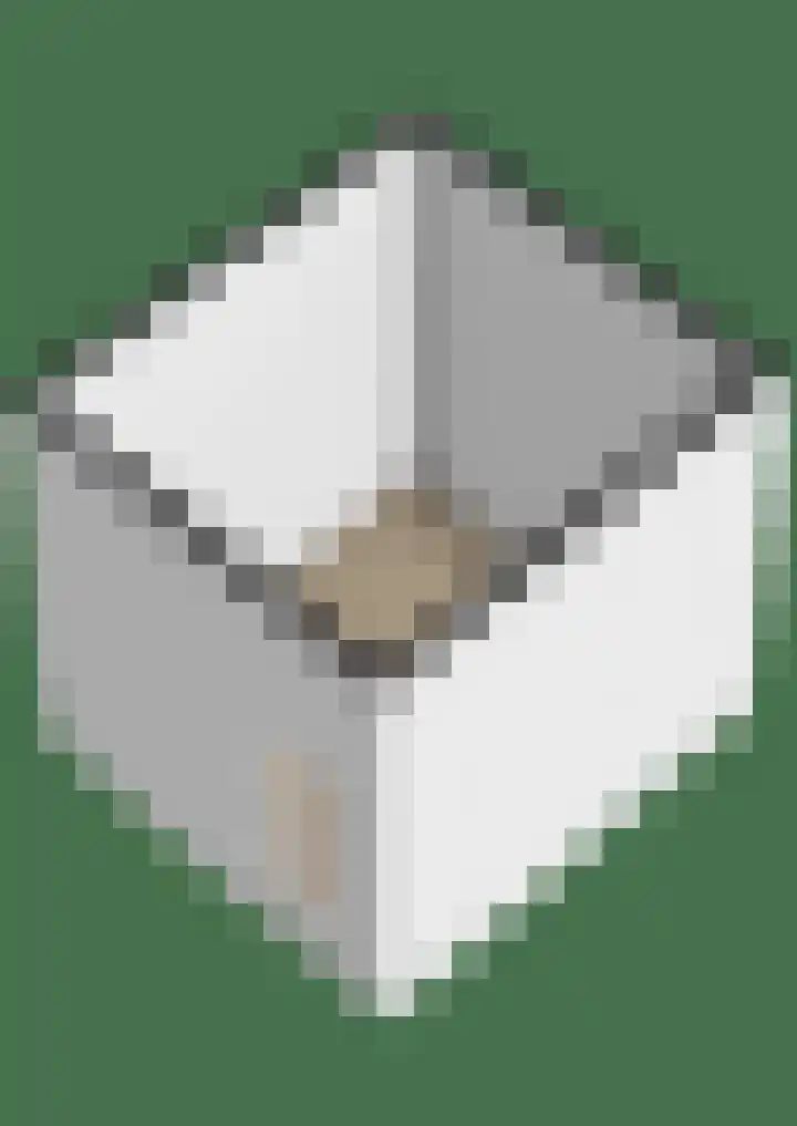 Herculesweg 67 Delft thumbnail 24