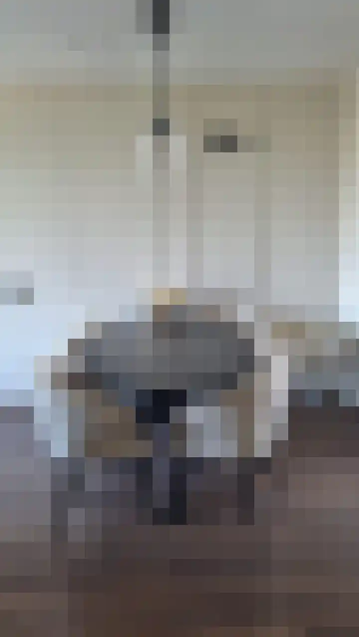 Herculesweg 67 Delft thumbnail 5