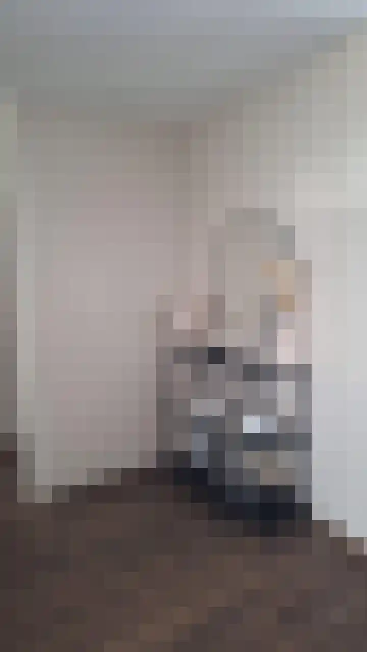 Herculesweg 67 Delft thumbnail 6