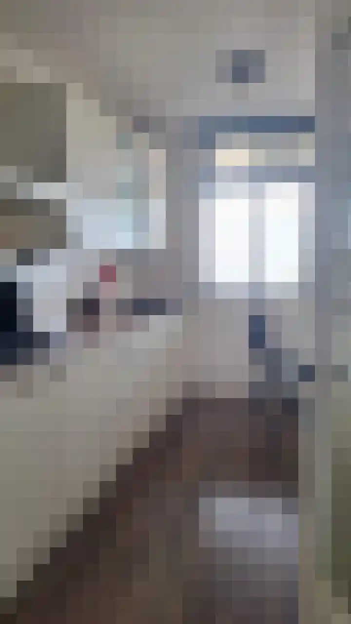 Herculesweg 67 Delft thumbnail 7