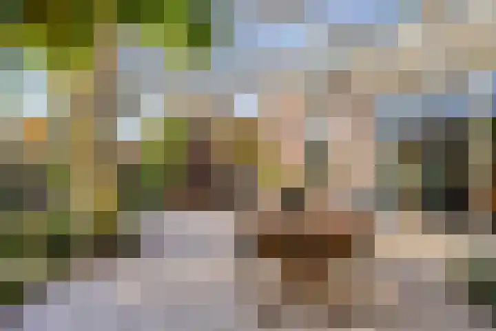 Herdenkingsstraat 2 Weurt thumbnail 20