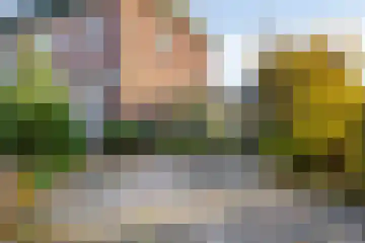 Herdenkingsstraat 2 Weurt thumbnail 27