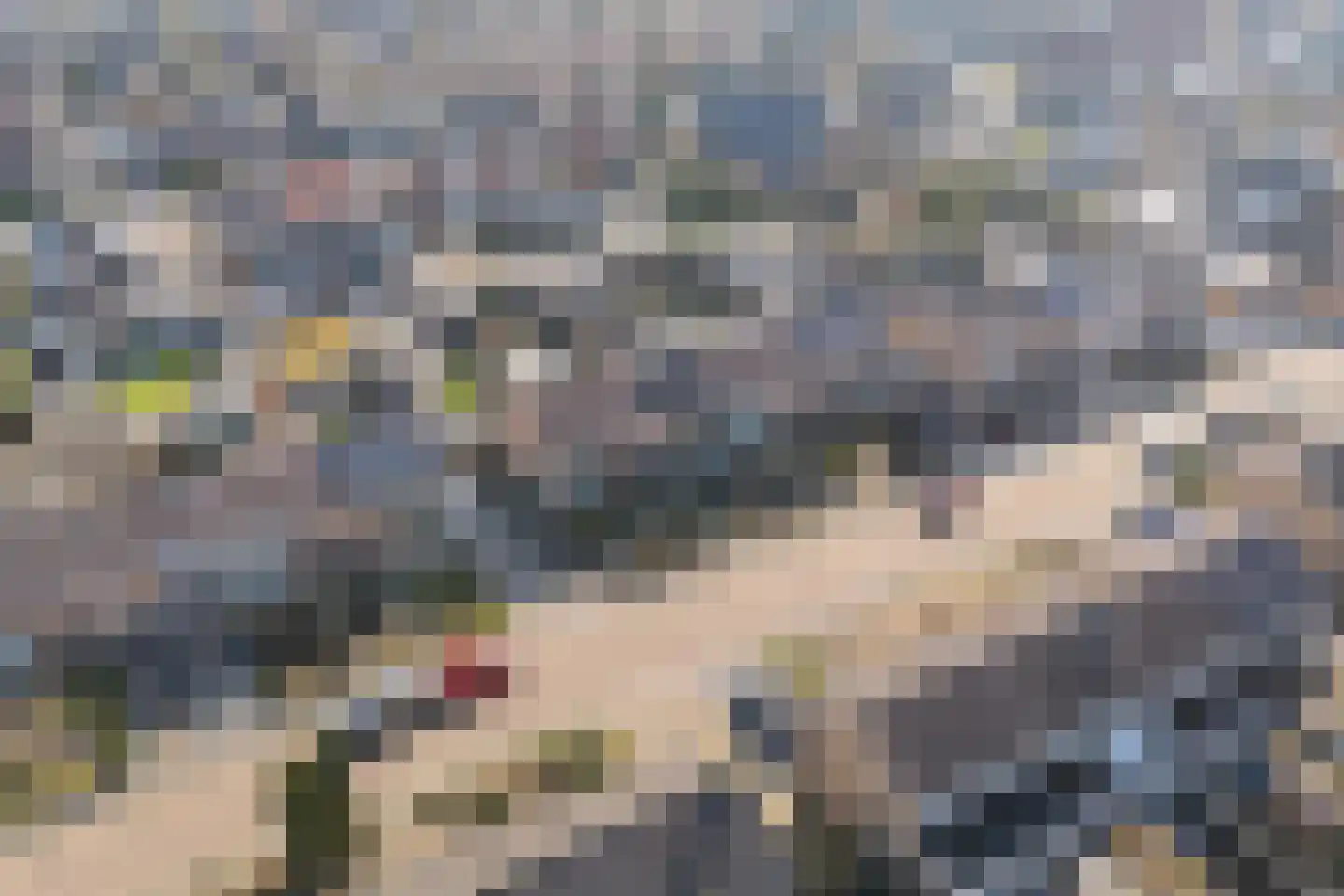 Herdenkingsstraat 42 Weurt thumbnail 43