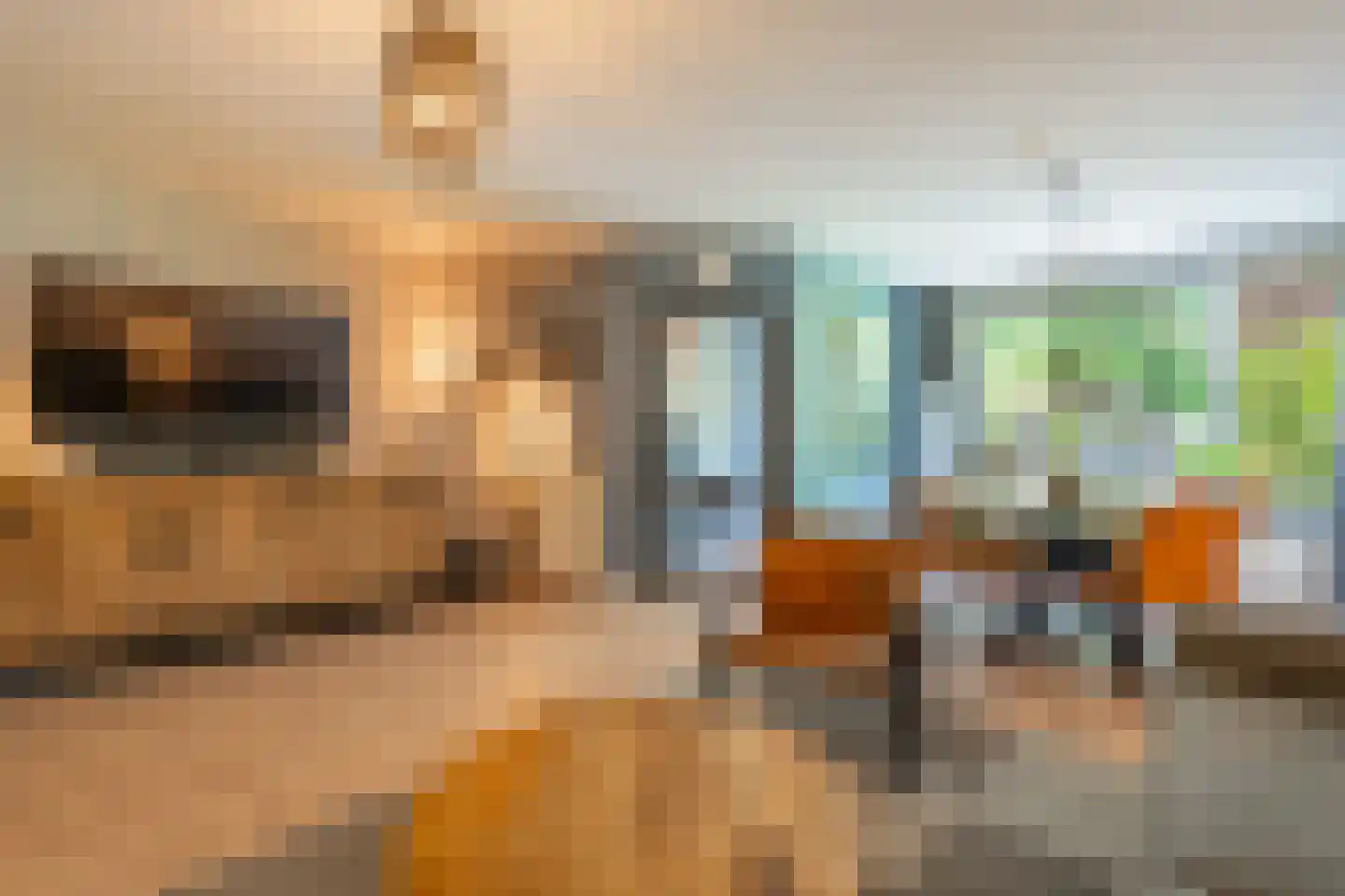 Herderhof 11 Leusden thumbnail 15