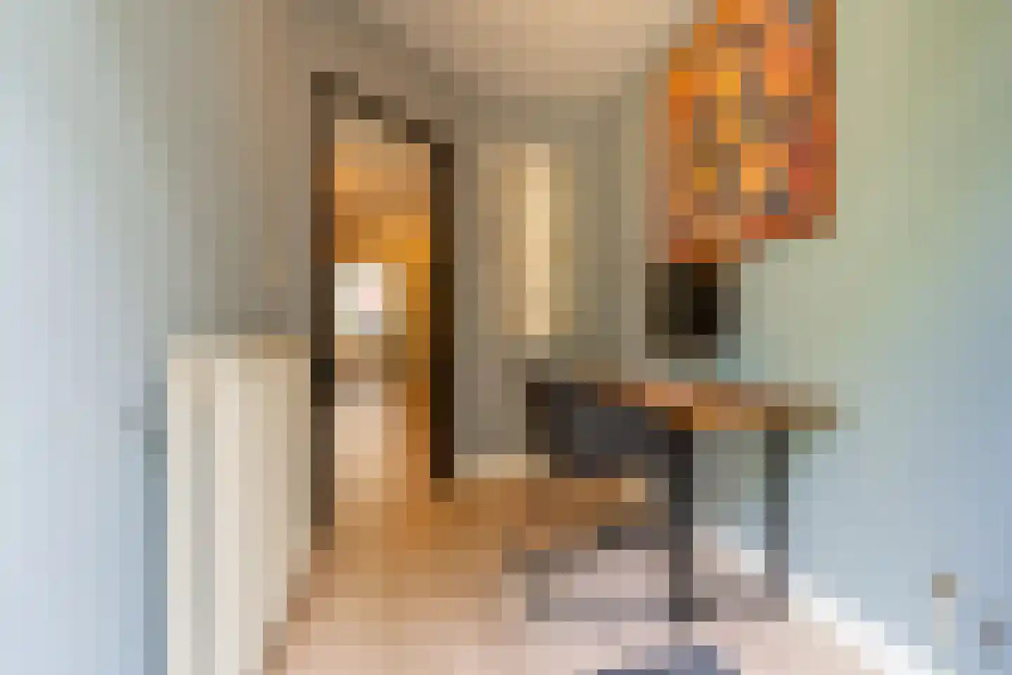 Herderhof 11 Leusden thumbnail 19