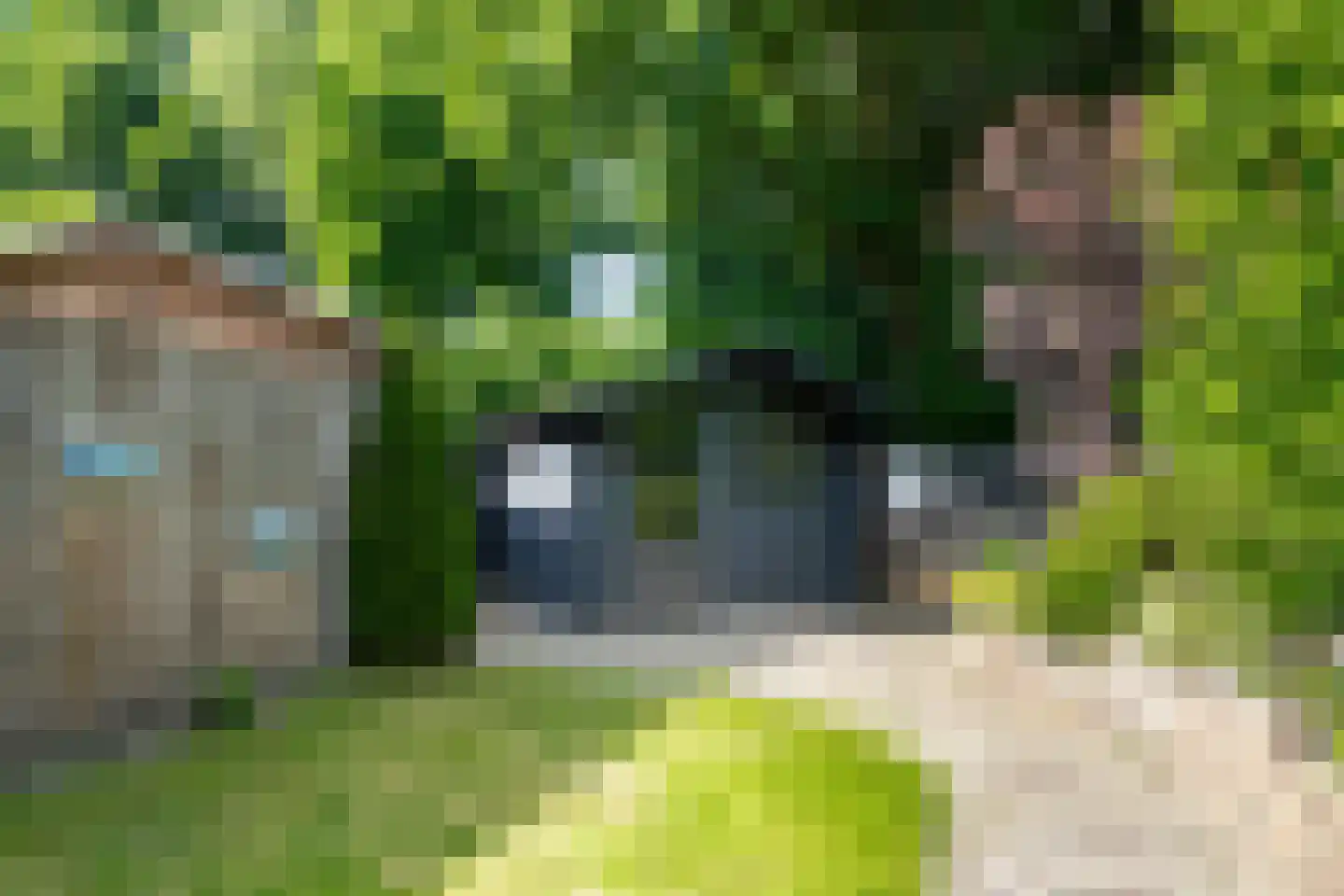 Herderhof 11 Leusden thumbnail 22