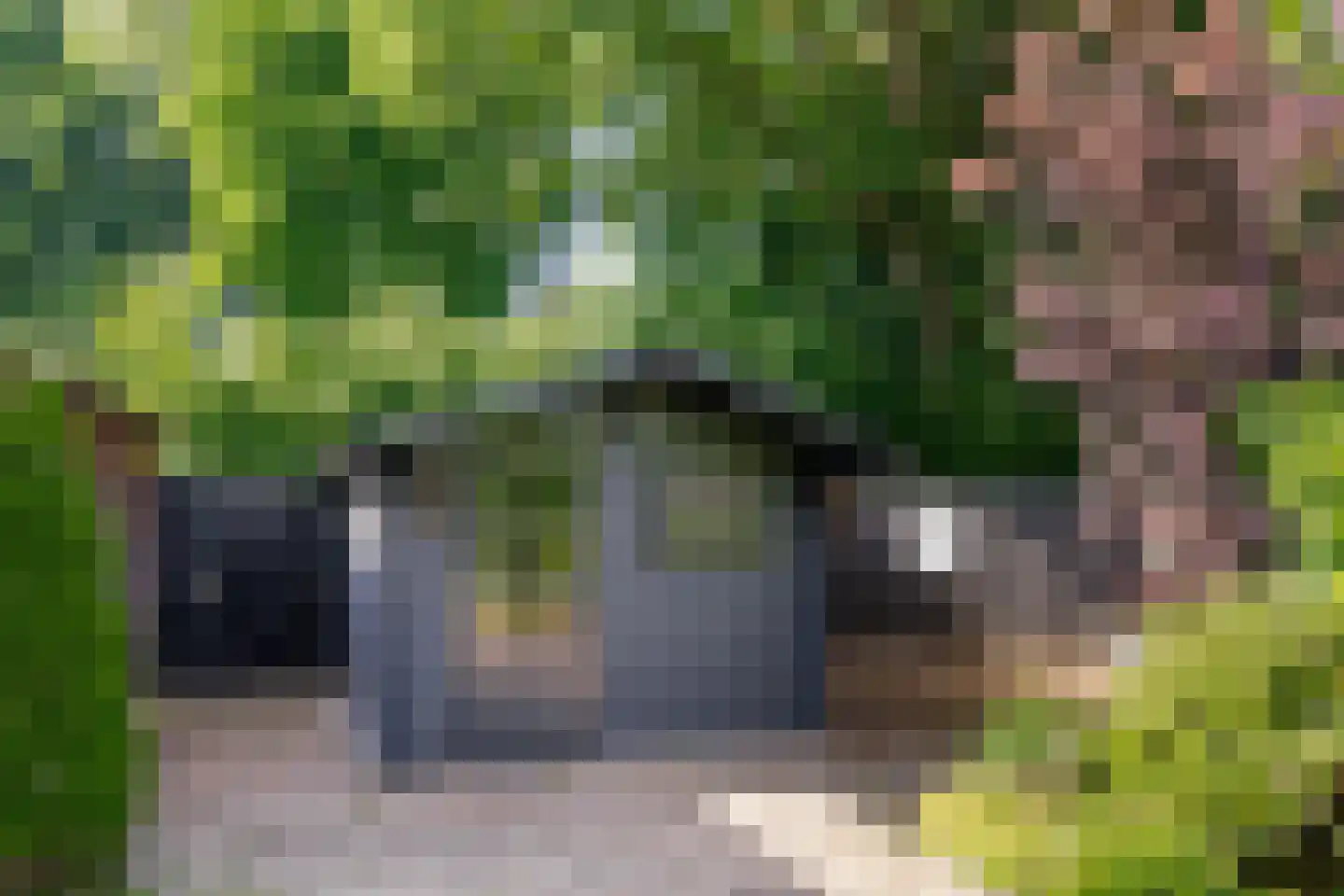 Herderhof 11 Leusden thumbnail 24