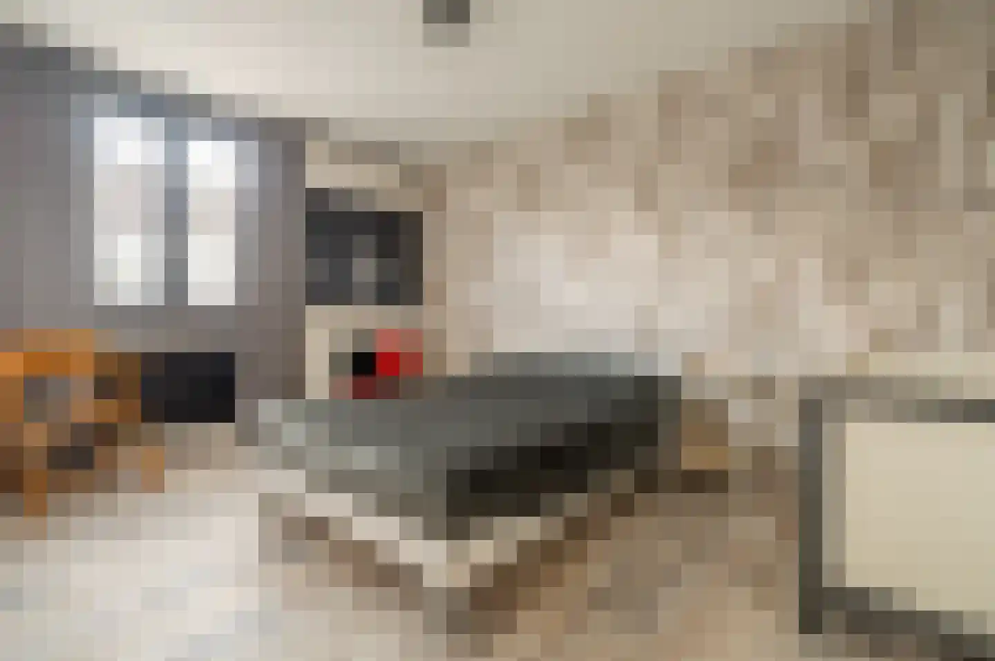 Herderhof 11 Leusden thumbnail 31