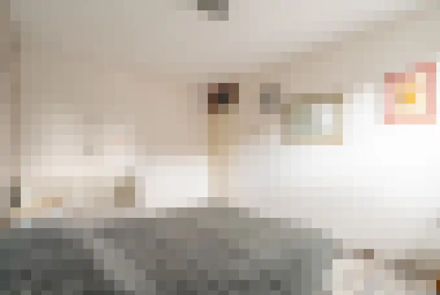 Herderhof 11 Leusden thumbnail 32