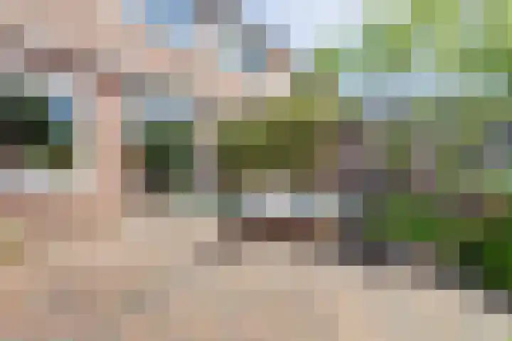 Herderinnenpad 12 Amersfoort thumbnail 30