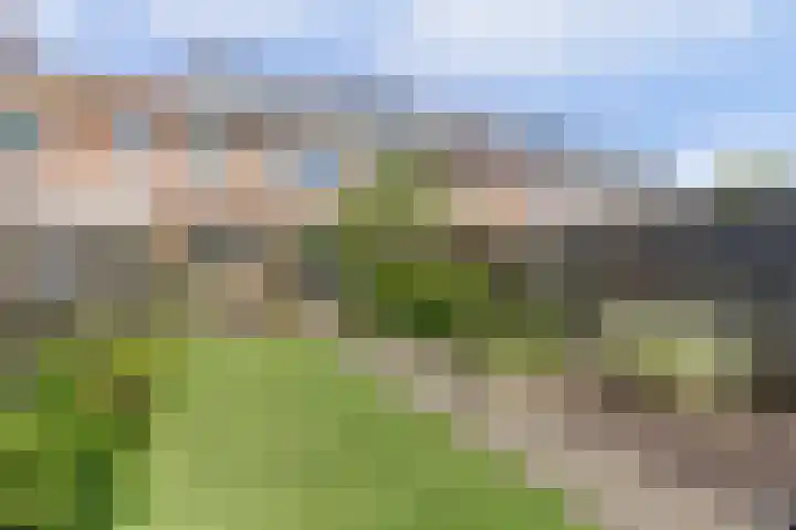 Herderinnenpad 12 Amersfoort thumbnail 32
