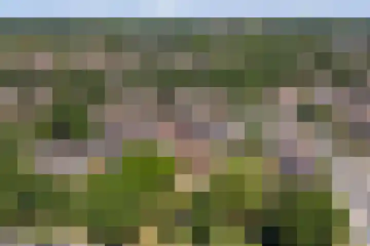 Herderinnenpad 12 Amersfoort thumbnail 37