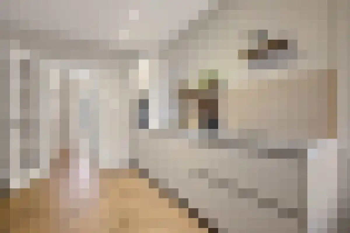 Herderinnestraat 5 Den Haag thumbnail 5