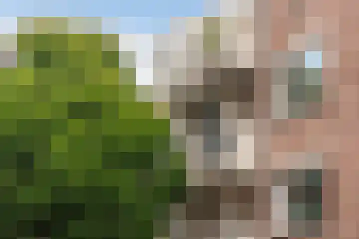 Herderinnestraat 78 Den Haag thumbnail 22
