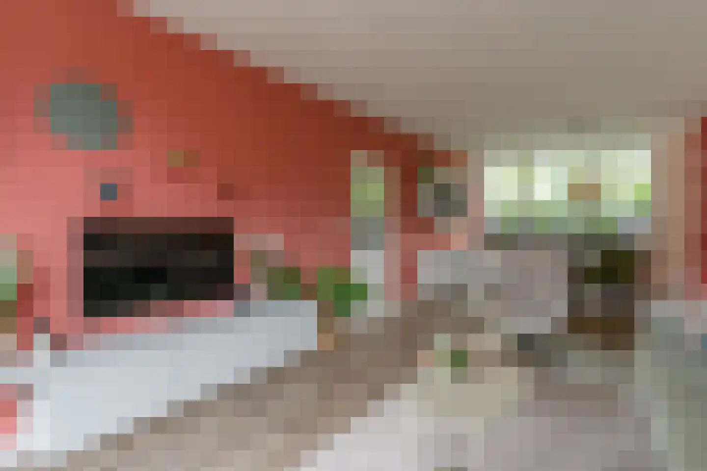 Herderlaan 11 Ermelo thumbnail 10
