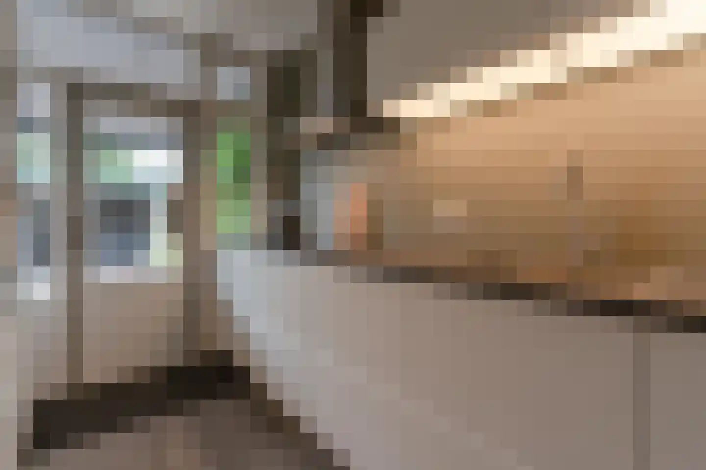 Herderlaan 11 Ermelo thumbnail 12