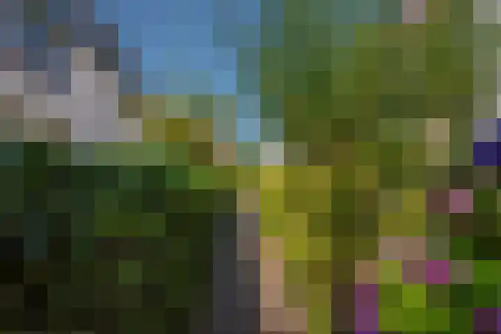 Herderlaan 19 Ermelo thumbnail 14