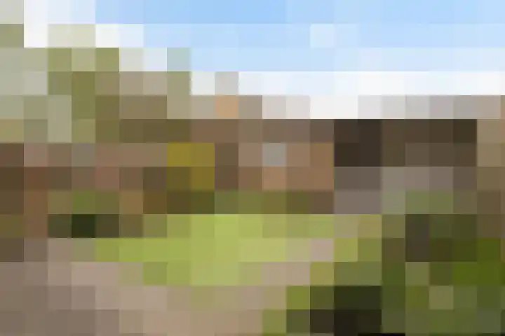 Herderlaan 19 Ermelo thumbnail 34