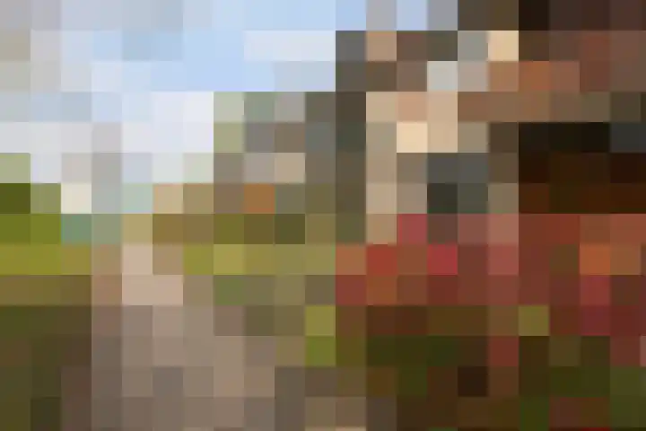 Herderlaan 19 Ermelo thumbnail 44