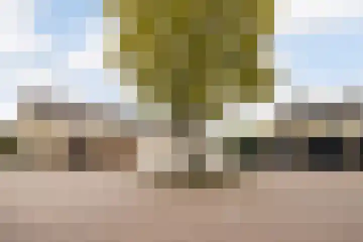 Herderlaan 19 Ermelo thumbnail 47