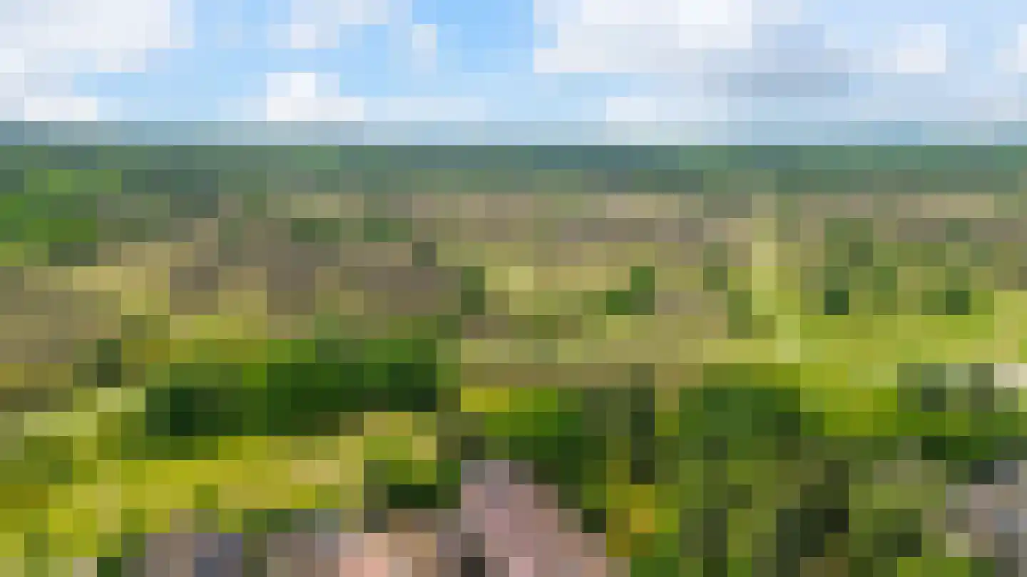 Herderlaan 29 Ermelo thumbnail 41