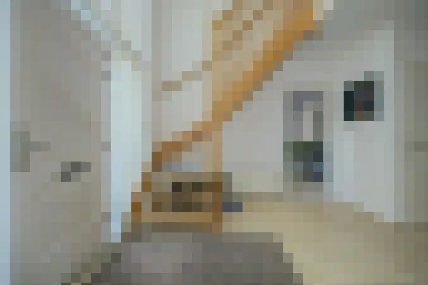 Herdershoefje 12 Wemeldinge thumbnail 11