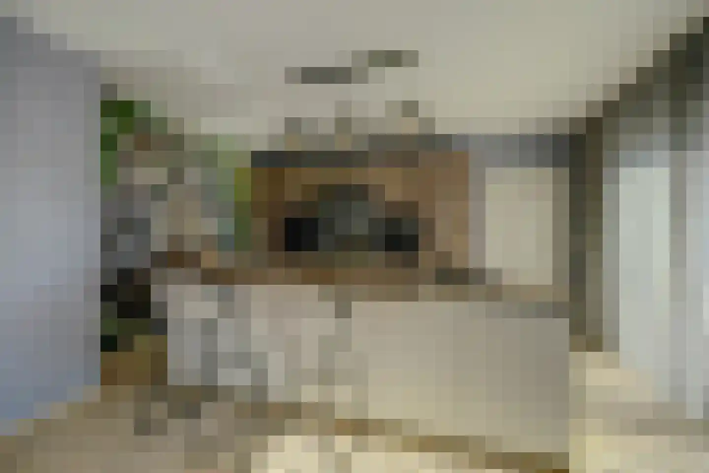 Herdershoefje 12 Wemeldinge thumbnail 25