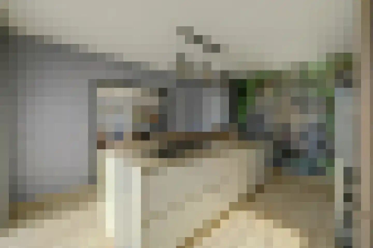 Herdershoefje 12 Wemeldinge thumbnail 26