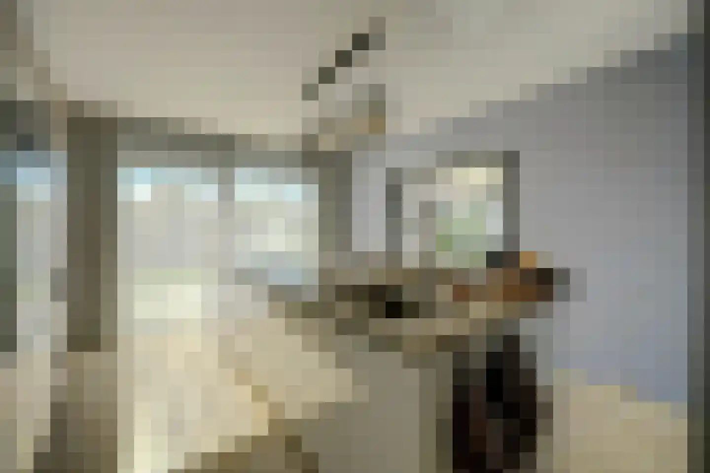 Herdershoefje 12 Wemeldinge thumbnail 28