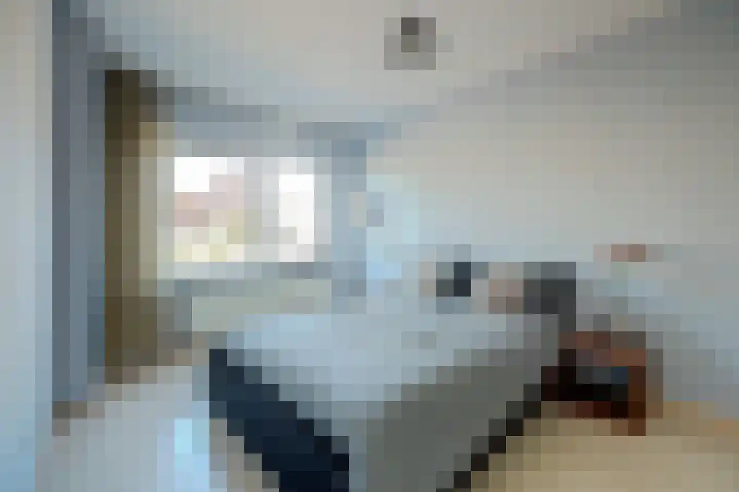 Herdershoefje 12 Wemeldinge thumbnail 31