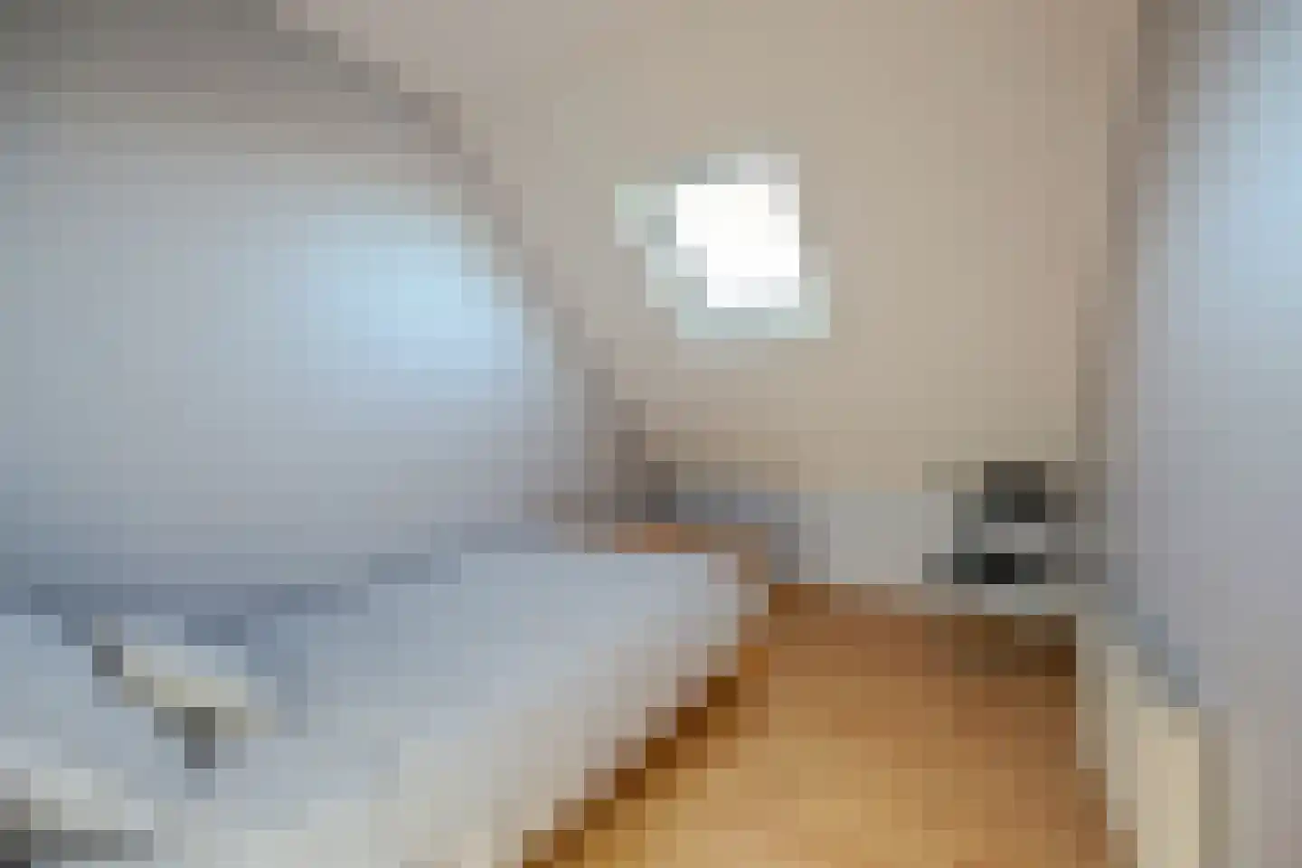 Herdershoefje 12 Wemeldinge thumbnail 46