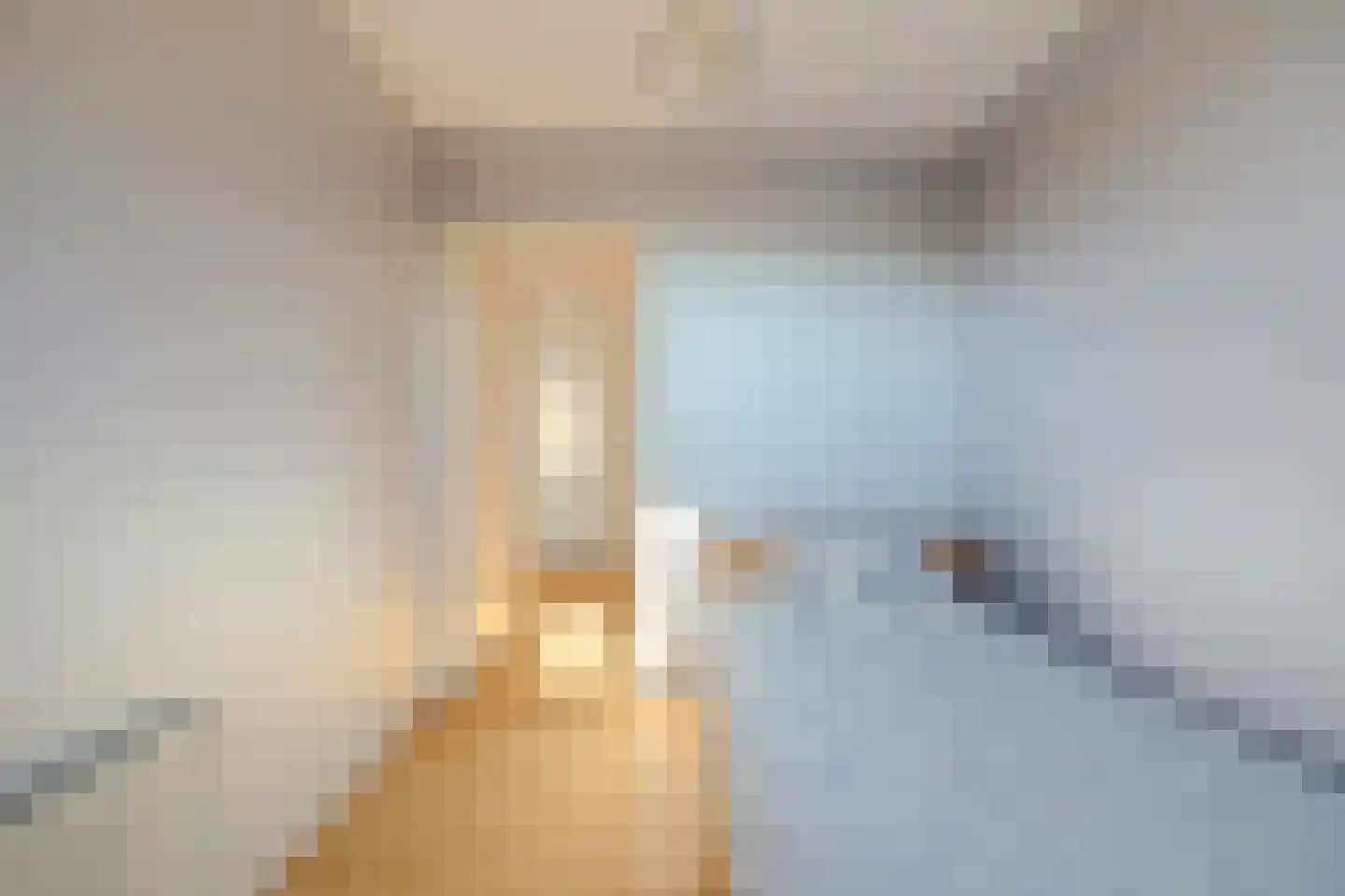 Herdershoefje 12 Wemeldinge thumbnail 47